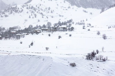 Scenic view of snow covered landscape