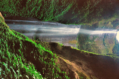 Scenic view of rainbow over trees