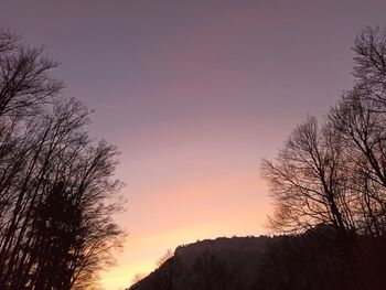 Low angle view of silhouette trees against sky during sunset