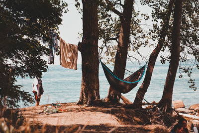 View of trees on beach