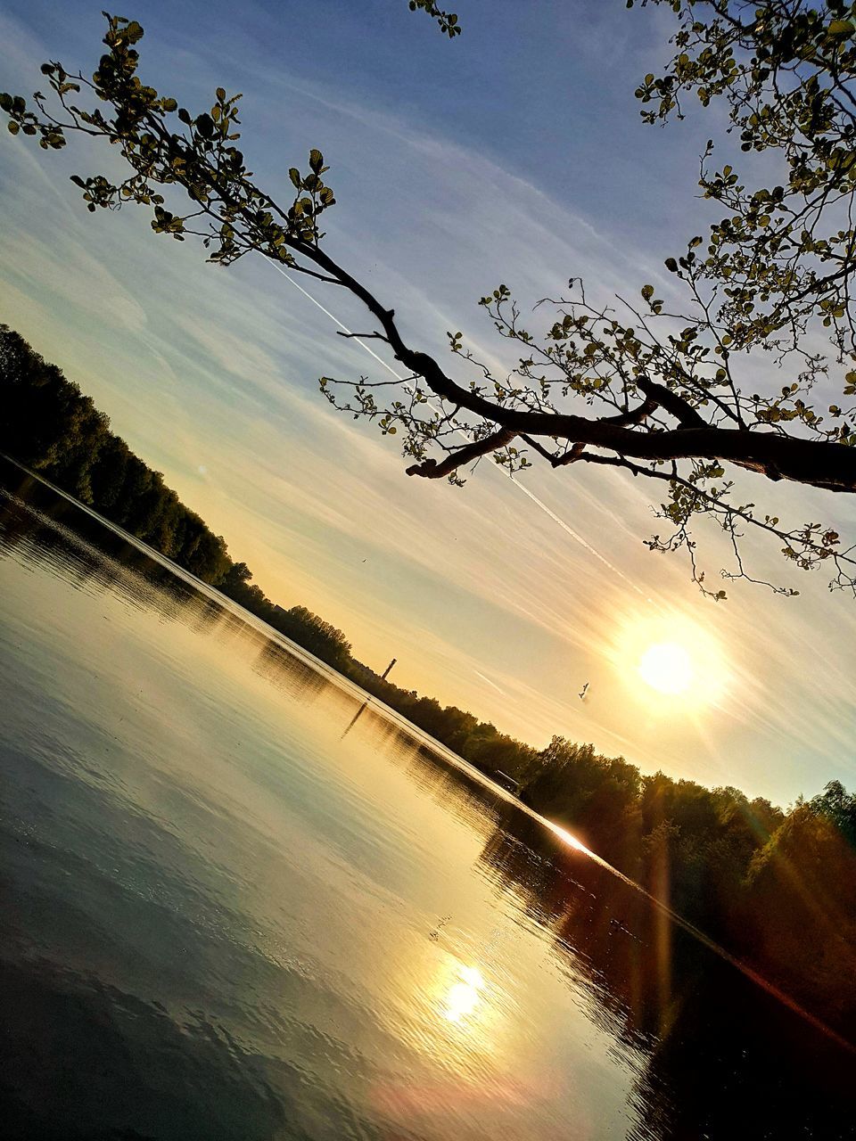 sky, beauty in nature, tree, plant, cloud - sky, scenics - nature, tranquility, water, nature, sunset, tranquil scene, no people, sunlight, sun, reflection, sunbeam, environment, silhouette, landscape, outdoors, lens flare