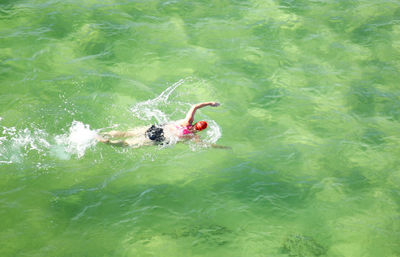 High angle view of person swimming in water