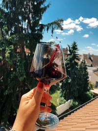 Close-up of hand holding wine glass