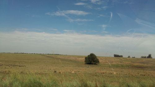 Scenic view of grassy field against sky