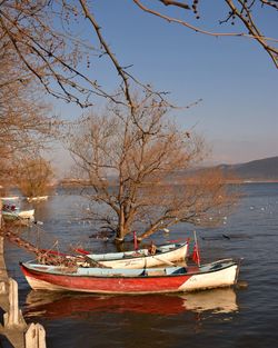 Boats moored in sea against sky