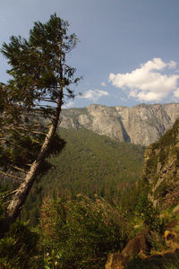 Scenic view of landscape and mountains