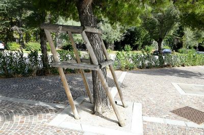 Plants growing on tree