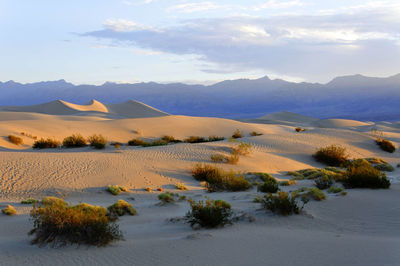 Scenic view of desert against sky