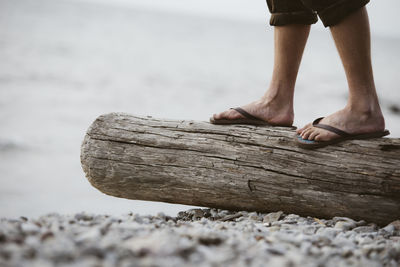 Man standing on log on beach, gotland, sweden