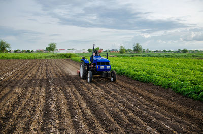 Farmer on tractor cultivates farm field. milling soil, crushing and loosening ground cutting rows