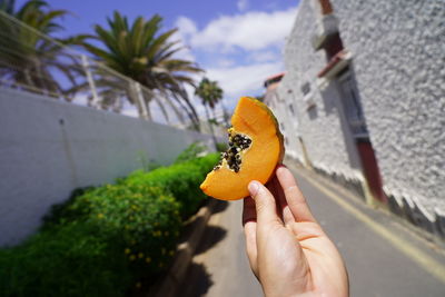 Cropped image of hand holding orange