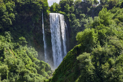 Scenic view of waterfall in forest