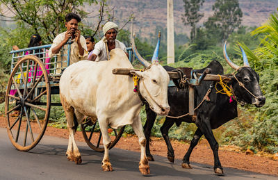 People riding horse cart on road