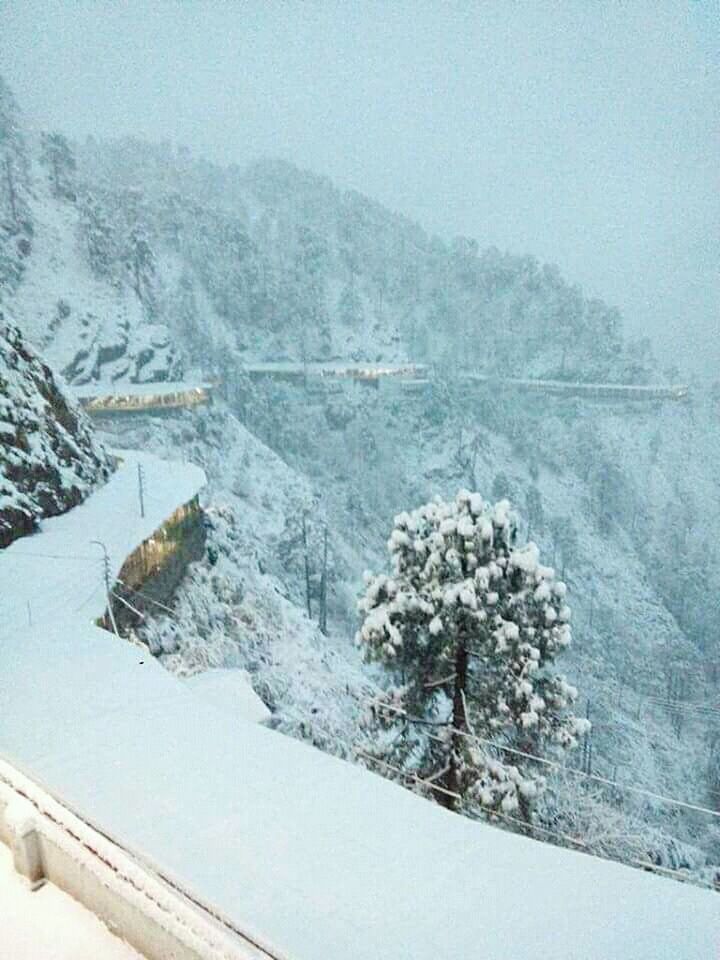 SCENIC VIEW OF TREE MOUNTAIN AGAINST SKY