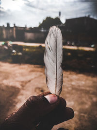 Close-up of hand holding feather