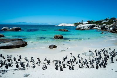 Scenic view of beach against clear blue sky