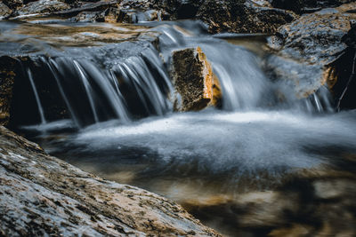 Scenic view of waterfall in forest