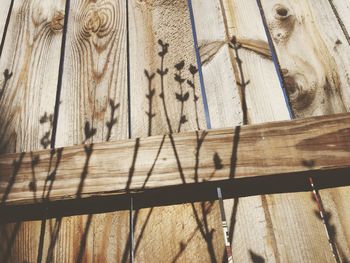 Low angle view of plant shadow on wooden wall