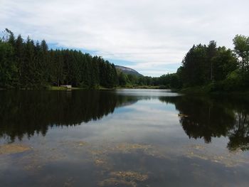 Scenic view of lake by trees against sky