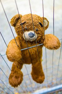 Close-up of stuffed toy on metal