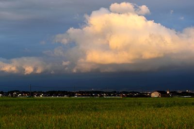 Scenic view of field against sky during sunset
