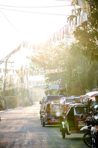 Cars on road against trees