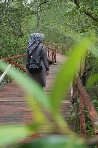 View of footbridge in forest