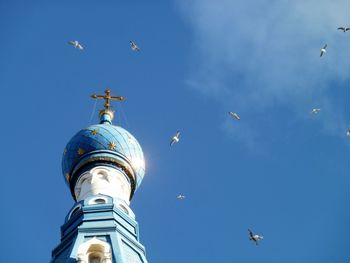 Low angle view of seagulls flying in sky