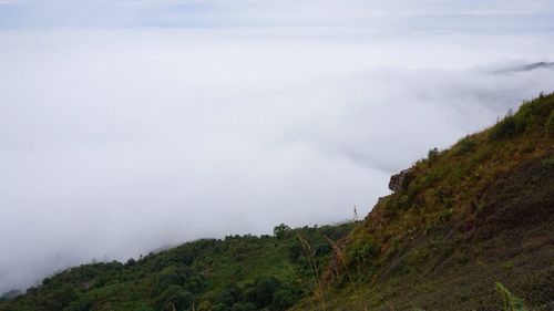 Scenic view of tree mountains against sky