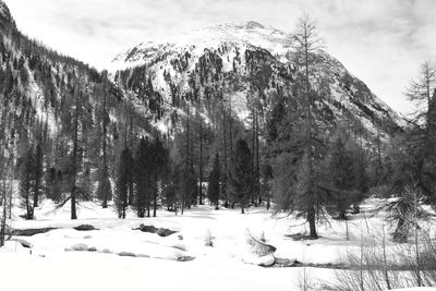 Scenic view of snow covered mountains
