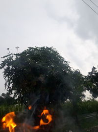 Low angle view of bonfire against sky