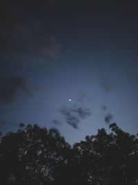 Low angle view of silhouette trees against sky at night