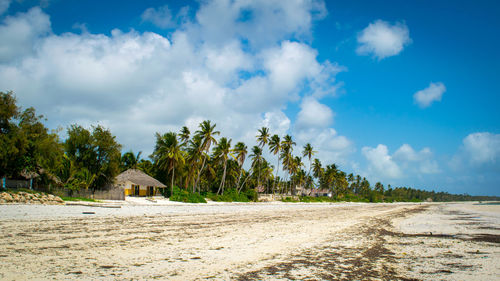 Panoramic view of trees and houses on beach against sky