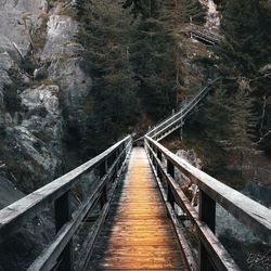 High angle view of footbridge in forest
