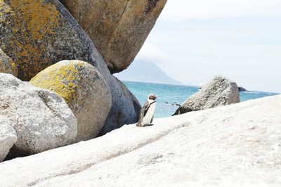 Rock formation on beach against sky