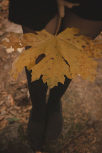 Low section of person standing on autumn leaves