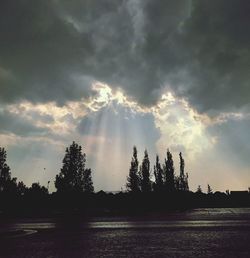 Sunlight streaming through silhouette trees against sky during sunset