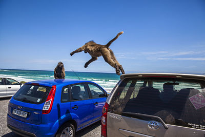 View of car on sea against blue sky