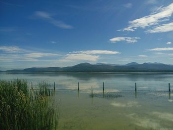 Scenic view of lake against blue sky