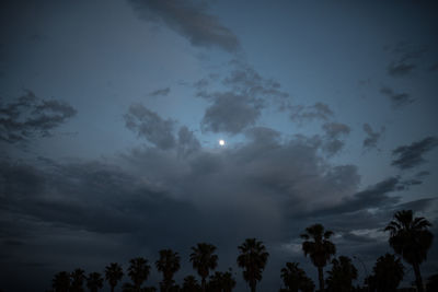 Low angle view of silhouette trees against sky at night