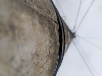 Close-up of electric pole
