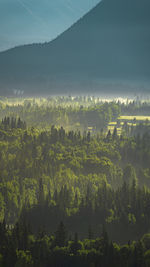 Aerial view of landscape