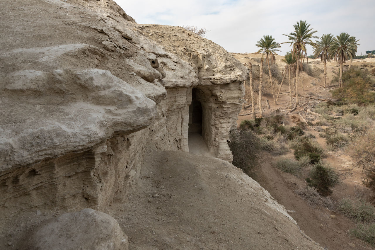 rock, ancient history, wadi, nature, geology, plant, sky, tree, land, travel destinations, landscape, environment, scenics - nature, history, travel, cloud, terrain, desert, rock formation, palm tree, ruins, no people, architecture, non-urban scene, ancient, the past, beauty in nature, outdoors, day, climate, extreme terrain, mountain, tourism, arid climate, arch, cliff, tranquility, physical geography, old ruin, eroded, tropical climate