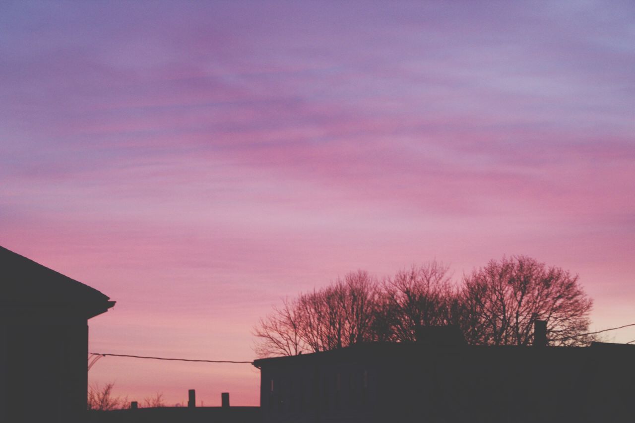 LOW ANGLE VIEW OF SILHOUETTE TREES AGAINST SUNSET SKY