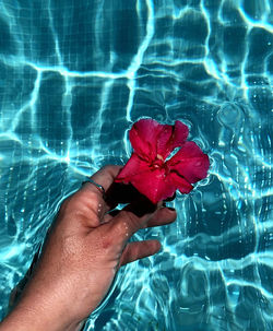 Cropped image of hand holding red leaf floating in swimming pool