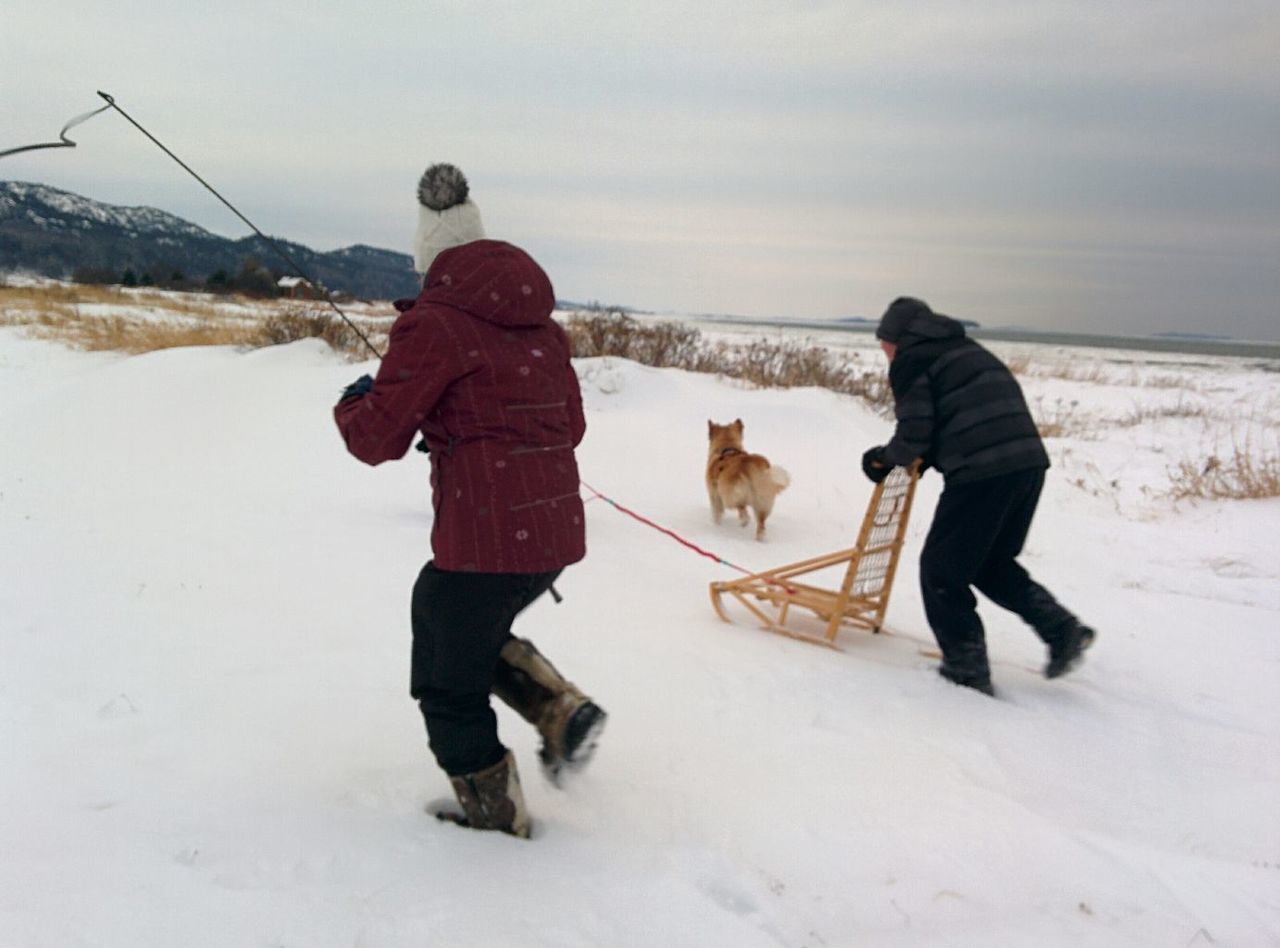 winter, snow, sled, cold temperature, nature, warm clothing, full length, togetherness, leisure activity, dog, real people, men, pets, adventure, vacations, outdoors, day, two people, weekend activities, domestic animals, tobogganing, friendship, mammal, lifestyles, bonding, beauty in nature, sky, people