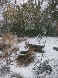 View of an animal on snow covered landscape