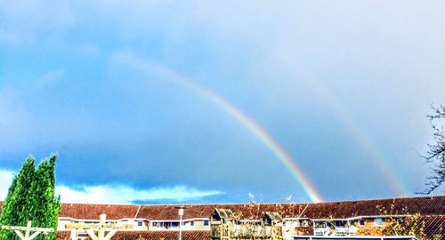 Rainbow over trees against sky