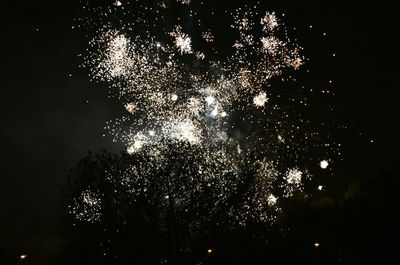 Low angle view of illuminated firework display