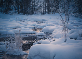 Snow covered trees on snow covered landscape